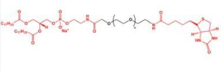 DSPE-PEG-Biotin֬ҶؾҶ֬