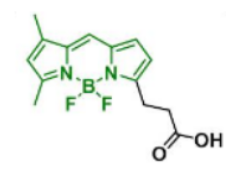 BDP FL acid165599-63-3