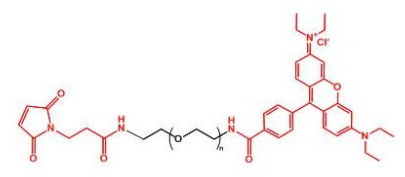 Rhodamine-PEG-MAL_ҶRMAL-PEG-Rhodamine