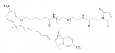Cy7-PEG-MalCy7-Ҷ-RCy7-PEG-Maleimide