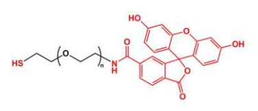 FITC-PEG-SHɹؾҶ Thiol-PEG-FITC