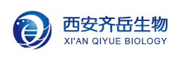PNIPAAm-b-PCL۱ϩ嶡-b-ۼ(ni)POLY(N-ISOPROPYL ACRYLAMIDE)-b-Polycaprolactone
