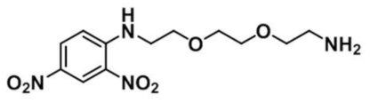 DNP-PEG2-NH2ăl