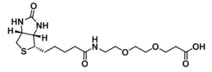 Biotin-PEG2-Acid1365655-89-5-Ҷ-Ȼ