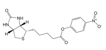 Biotin-ONP (+)--4-33755-53-2