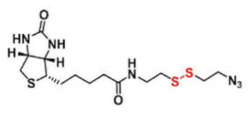 Biotin-SS-azide--B1620523-64-9