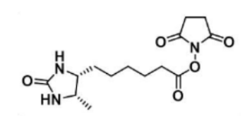 Desthiobiotin NHS Ester80750-24-9Ó-