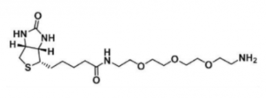 Biotin-PEG3-amine359860-27-8-Ҷ-
