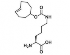 N-(4E)-TCO-L-lysine1380349-88-1N-(4E)h(hun)ϩ-ه