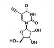 5-Ethynyl-uridine69075-42-95-Ȳ