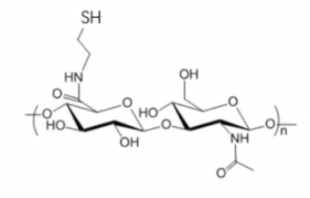 HA-SHHyaluronate- Thiol ͸|(zh)-