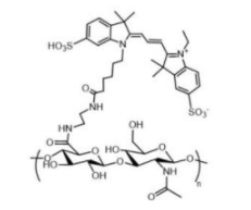 HA-Cy3 ͸|(zh)-ݼȾCy3Cy3(bio)ӛ͸|(zh)