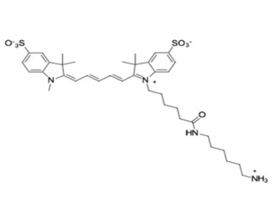 Sulfo-Cyanine5 amineˮ Cy5 NH2Sulfo-Cy5ɹȾ