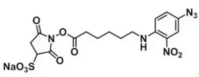 Sulfo-SANPAH Crosslinker6-[(4-B-2-)]