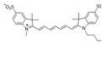 sulfo Cy7 alkyne2183440-55-1ǻCy7ȲN