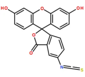 FITCɹأ 5-FITCFluorescein isothiocyanate isomer 