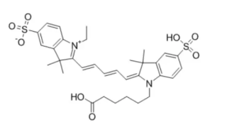 Cy5 (CAS:146368-11-8)؟ɹȾCY5