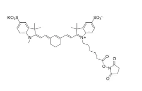 Sulfo-Cy7 NHS ester1603861-95-5CY7 