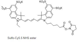 ˮcy5.5-NHSCy5.5-Sulfo-Cyanine5.5-NHS
