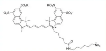 Sulfo CY5.5 NH2ữCY5.5sulfo-Cy5.5 amine