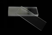 ܻwƬAmine functionalized glass slides