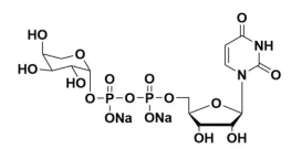 UDP-Arabinose15839-78-8udp-