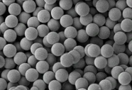 ùHش 100nmStreptomyces avidin polystyrene microspheres