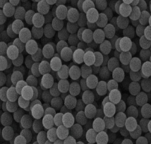۱ϩ΢50nmpolystyrene microsphere