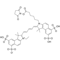 Sulfo-Cy5.5 NHS ester442912-55-2Cy5.5-N-u