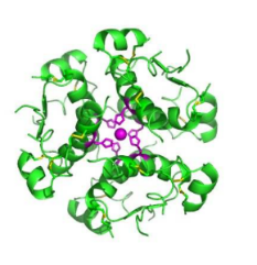 PS-NH2Gɫɹ 5um (10mg/ml)PSɹ΢