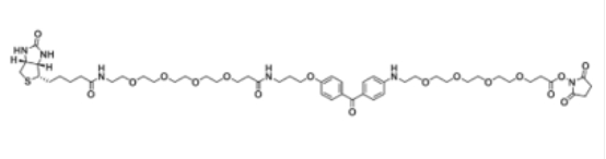UV-Tracer Biotin NHS ester1628029-01-5