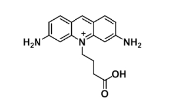 ATTO 465 acid1156537-96-0