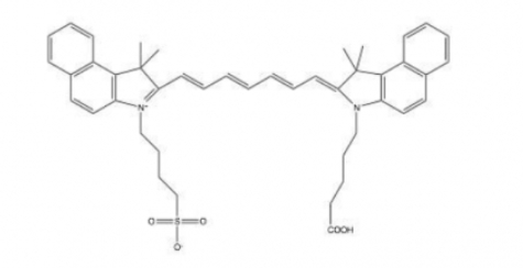 ICG carboxylic acid/Cy7.5 Acid(mono SO3)ݼG-Ȼ