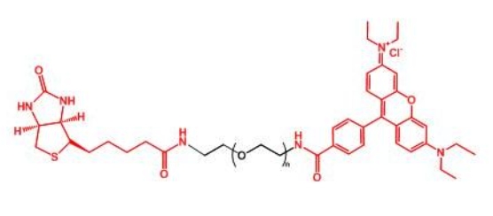 _Ҷ RB-PEG-BIOTIN