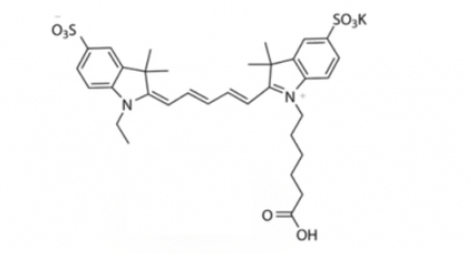 diSulfo-Cy5 carboxylic acid(Ethyl)Cy5-Ȼ(һ