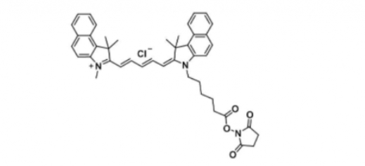 Cyanine5.5 NHS Ester֬Cy5.5 