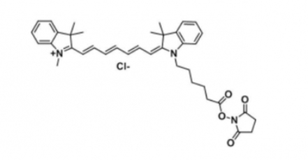 Cy7 NHS(Methyl)֬Cy7 