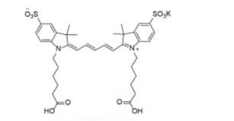 diSulfo-Cy5 carboxylic acid(Di)-Cy5-Ȼ