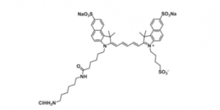 triSulfo-Cy5.5 amine/ˮCy5.5 amine Cy5.5 