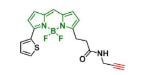 BDP 558/568 Alkyne 383.22