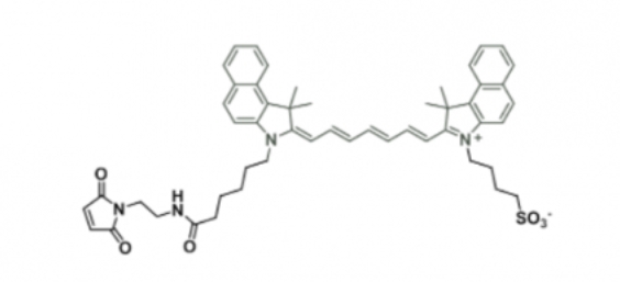 ICG Maleimide/ICG-Maleimide/ݼG-R