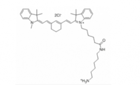 Cy7 amine/Cyanine7 amineTFA)/Cy7-