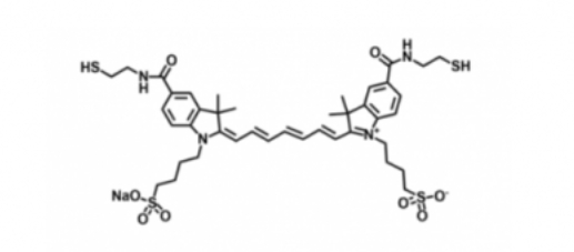 disulfo-ICG Bis-Thiol/ˮݼG-(Bis)