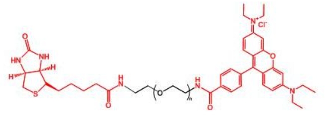 _Ҷ RB-PEG-BIOTIN