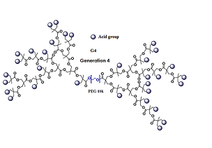 Ҷ-֧֦ Dendro Acid-PEG-Dendro Acid