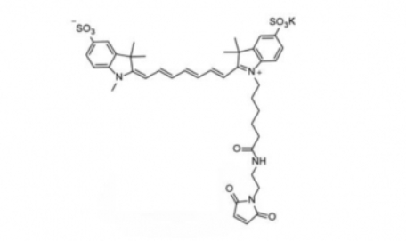 diSulfo-Cy7 Maleimide(Methyl)/Cy7-R(׻)