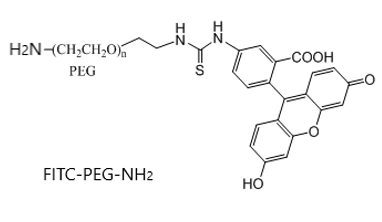 ɹ-Ҷ- ɹ(bio)ӛ FITC-PEG-NH2 