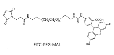 ɹ-Ҷ-R ɹӛ FITC-PEG-MAL