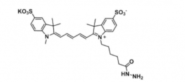 diSulfo-Cy5 hydrazide/ˮCy5 hydrazide/Cy5 
