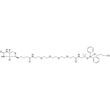 2241685-22-1	Biotin-PEG4-amino-t-Bu-DADPS-C3-alykne PROTAC(׽Ƕw)